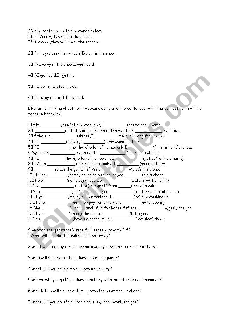 exercises with if clause and will future
