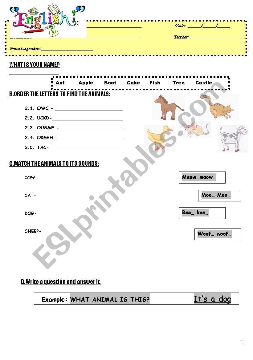 animals worksheet worksheet