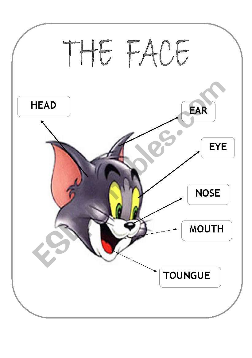 TOMS face worksheet