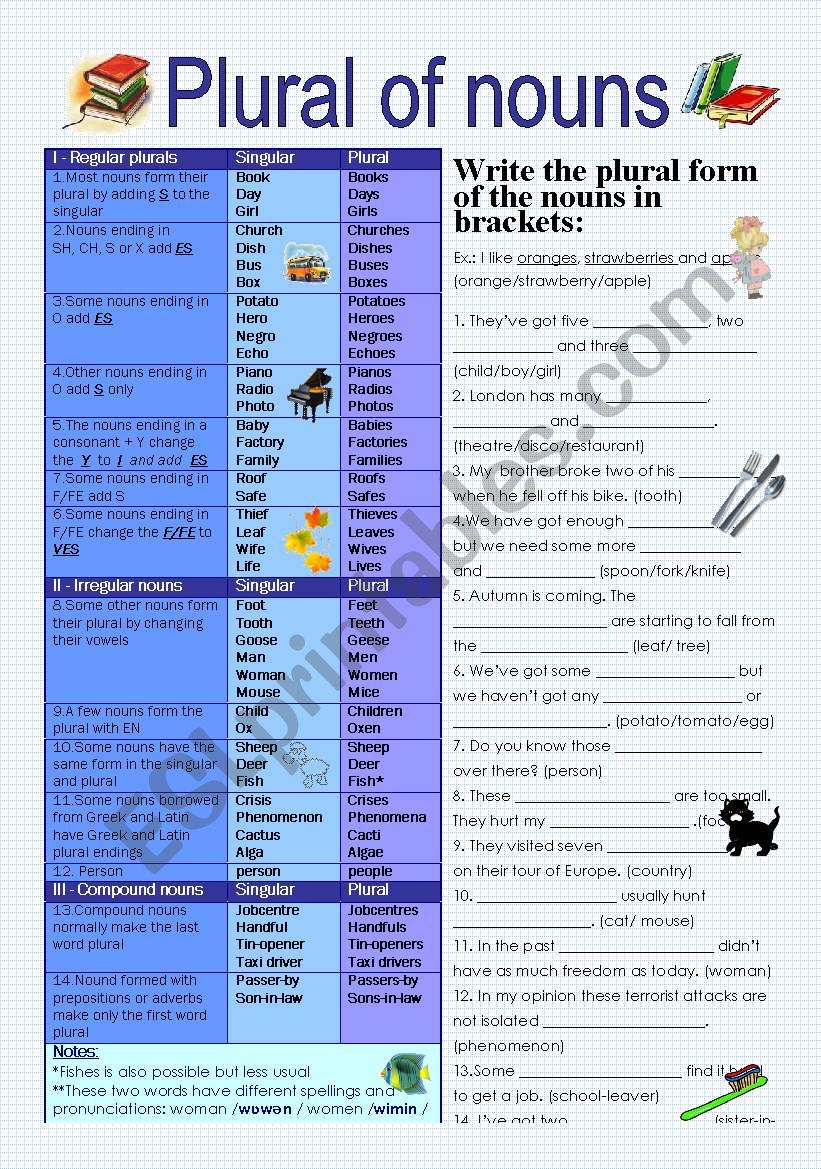 Plural of nouns worksheet