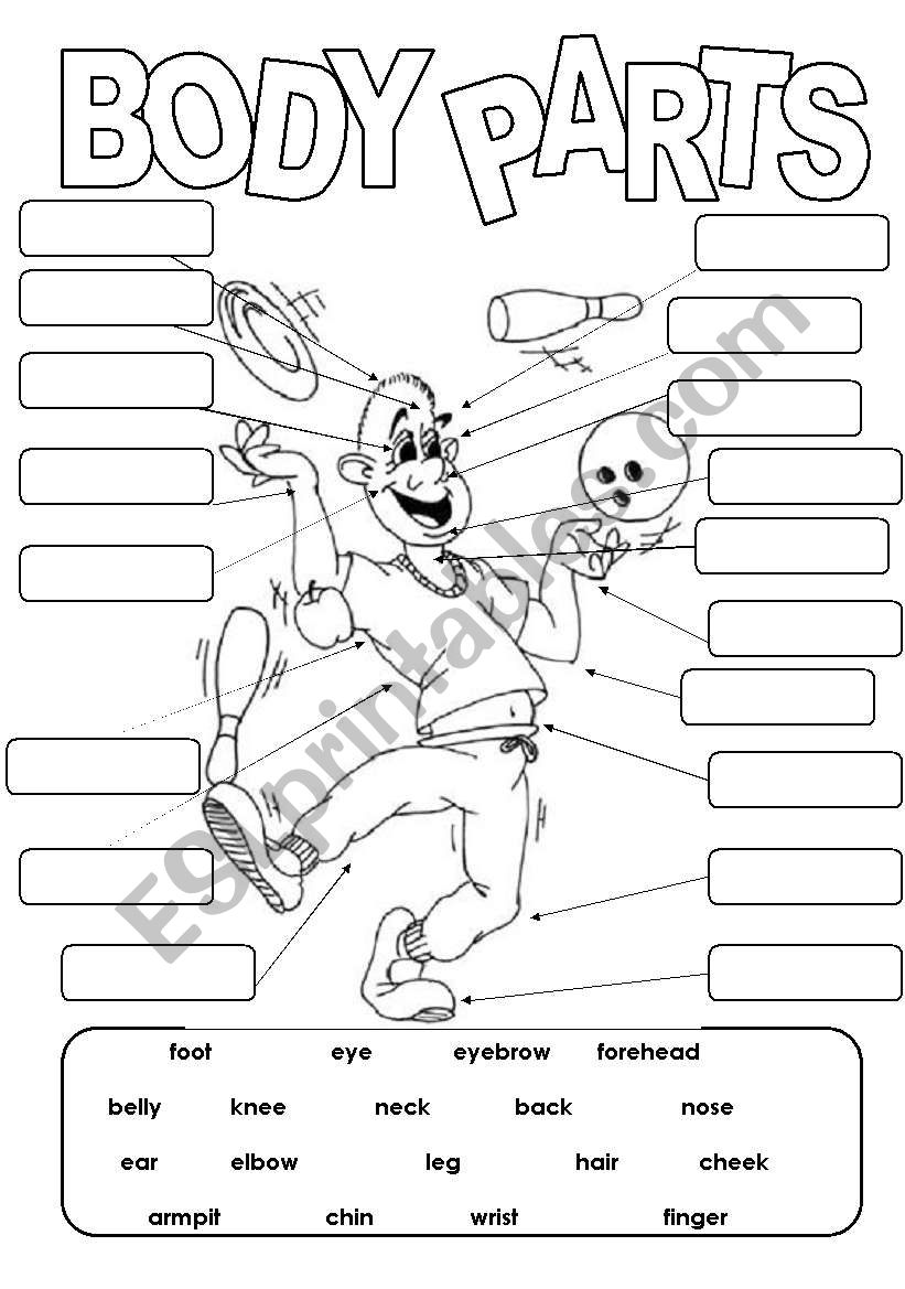 Complicated body parts 2 worksheet