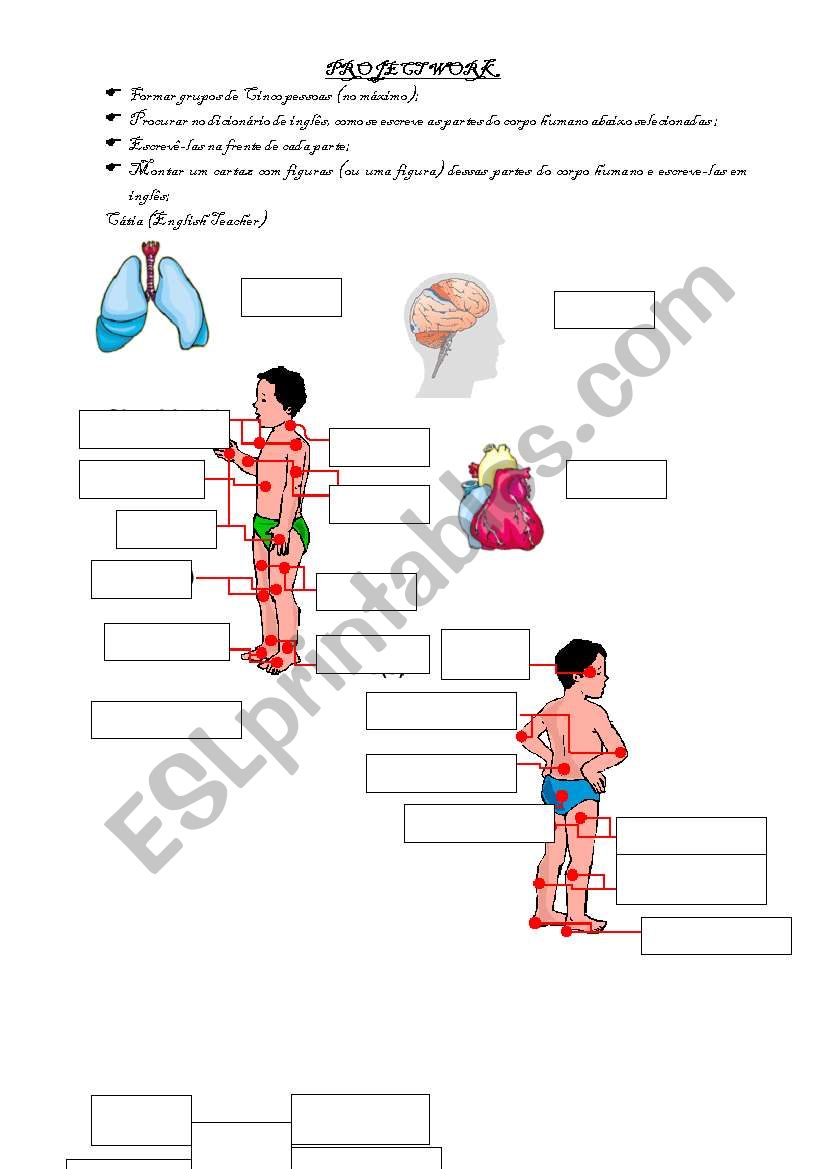 THe Body Project work worksheet