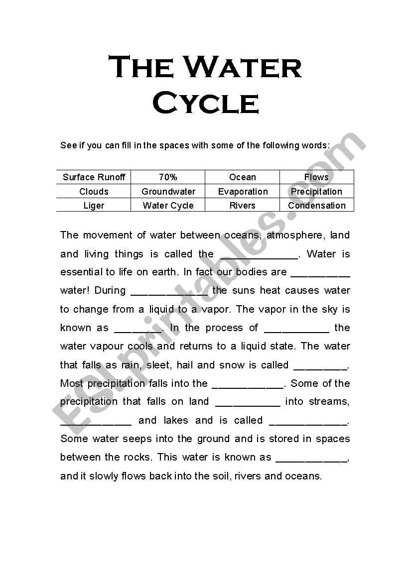 The Water Cycle worksheet