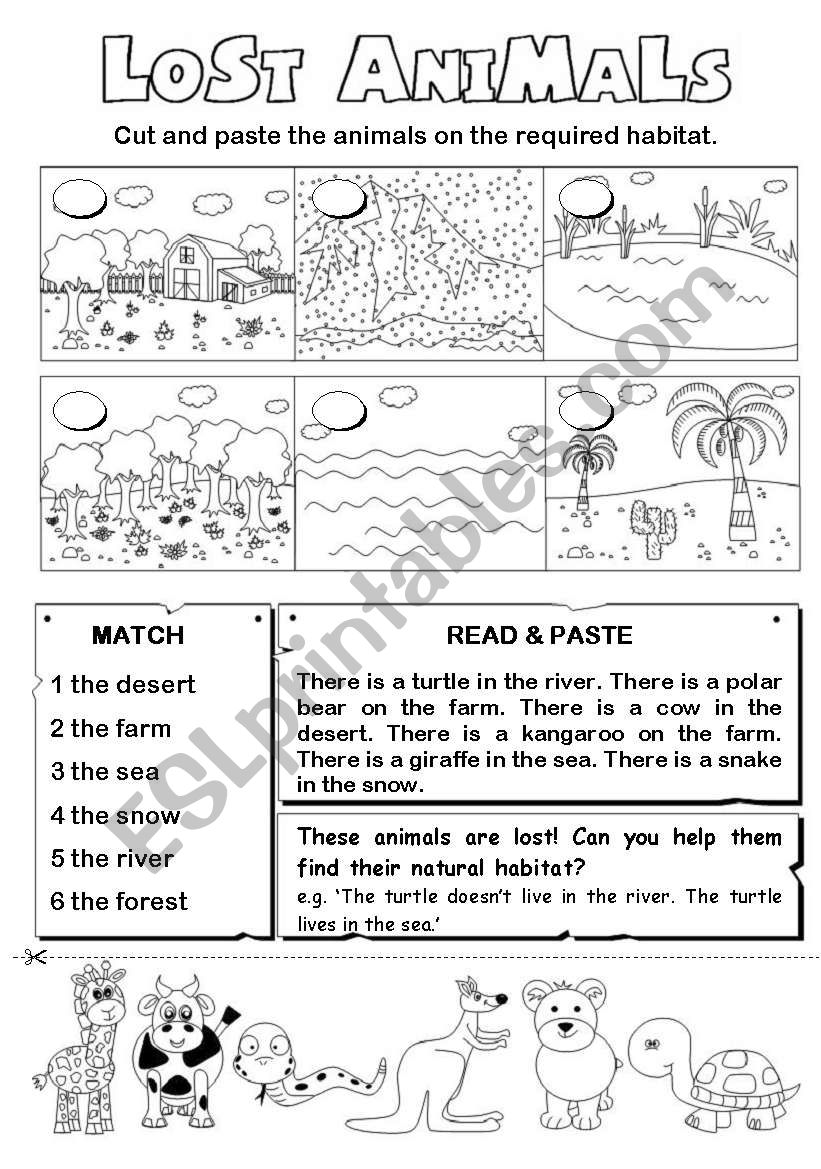 Lost animals  worksheet