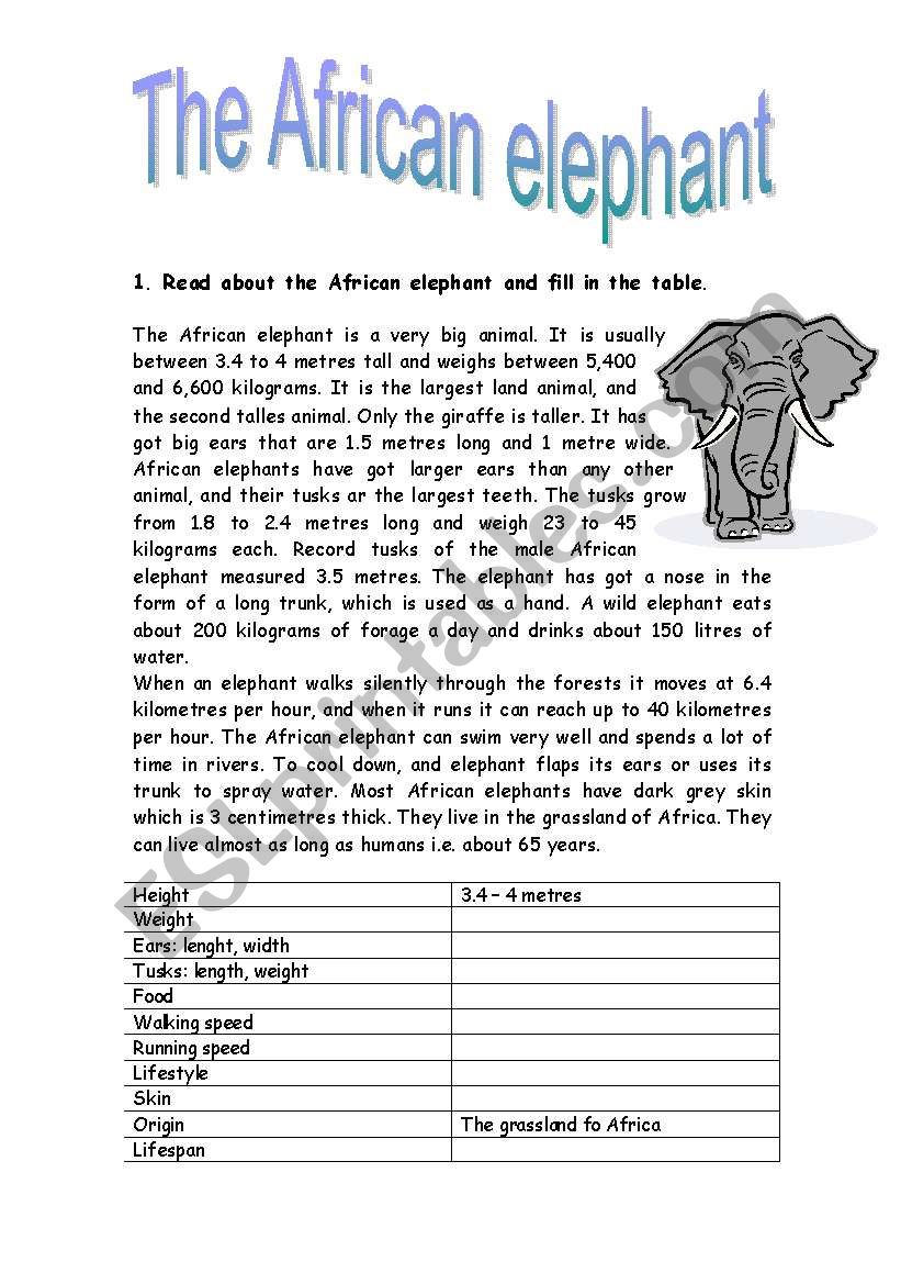The African elephant  worksheet