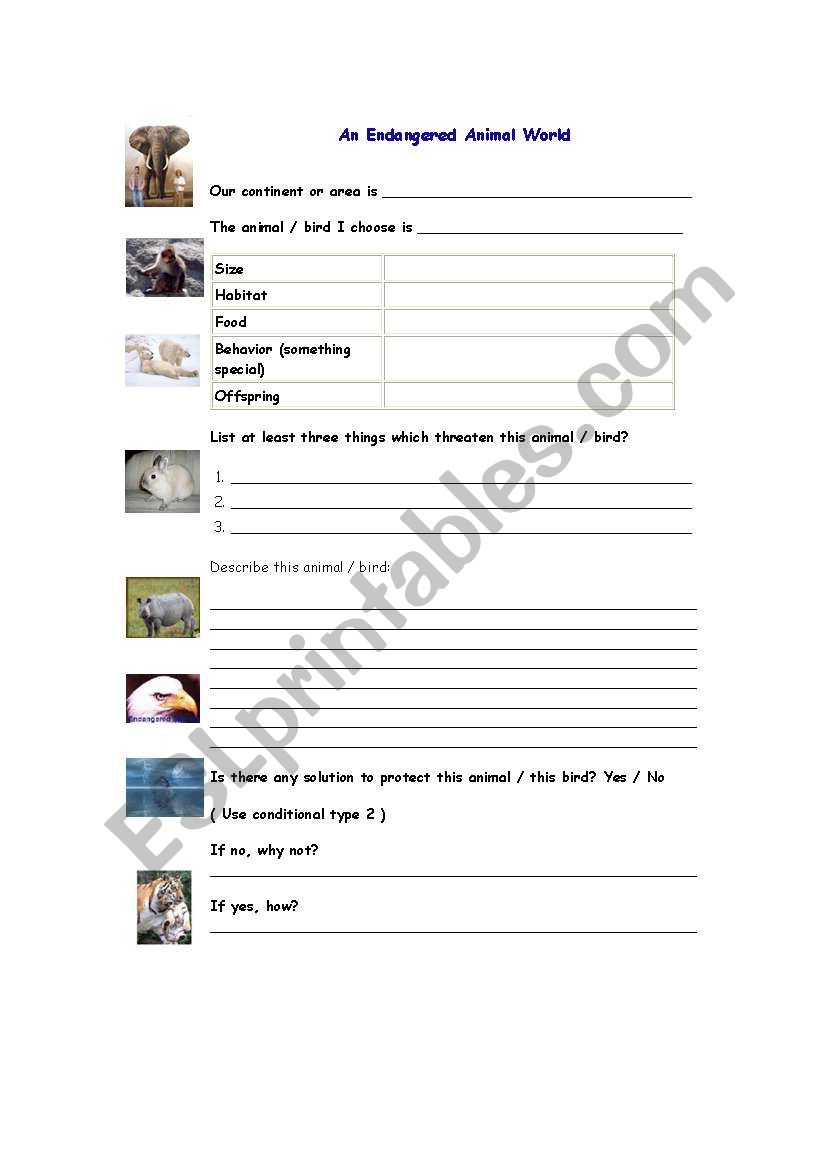 endangered animals worksheet