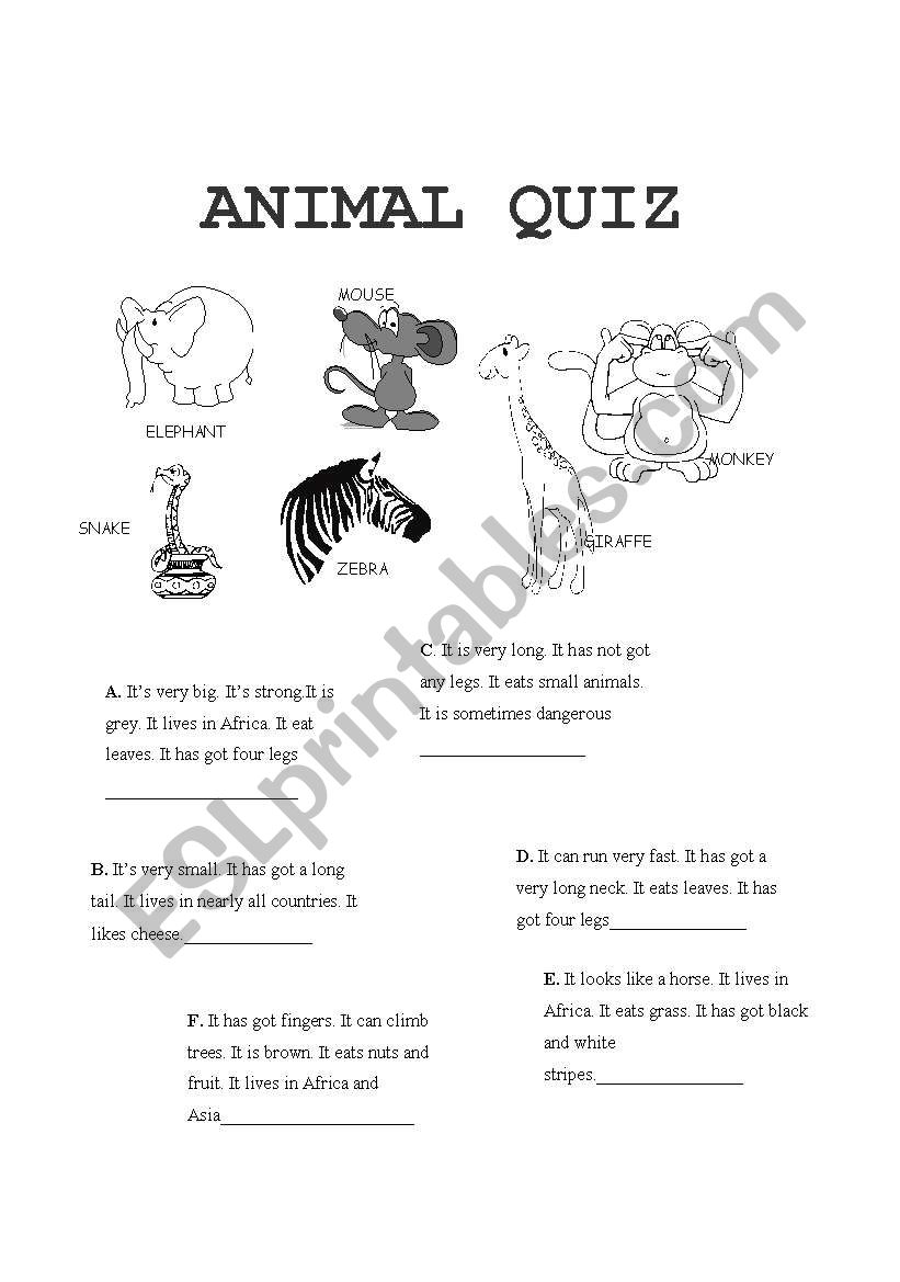 ANIMAL QUIZ worksheet