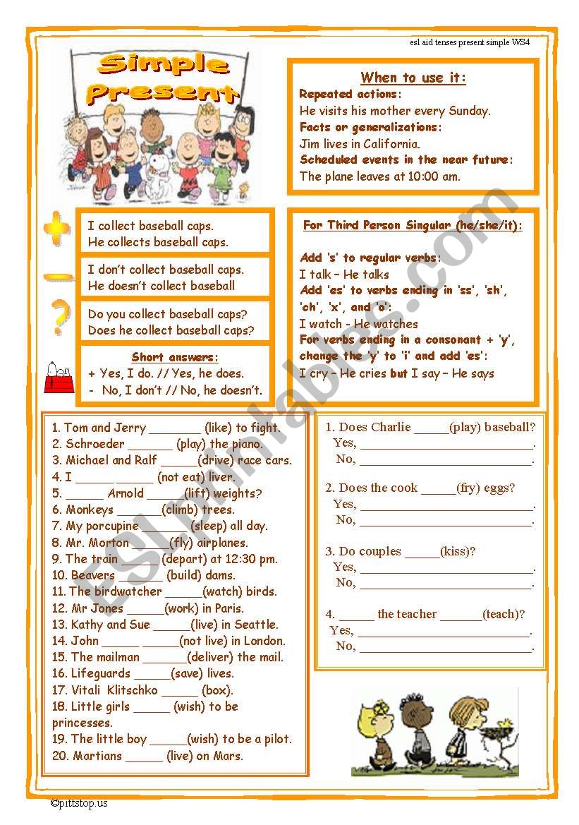 Simple Present Worksheet worksheet