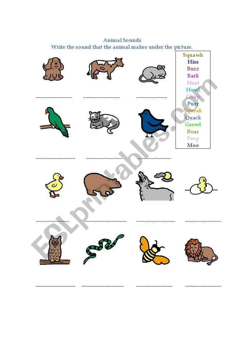 Animal Sounds worksheet