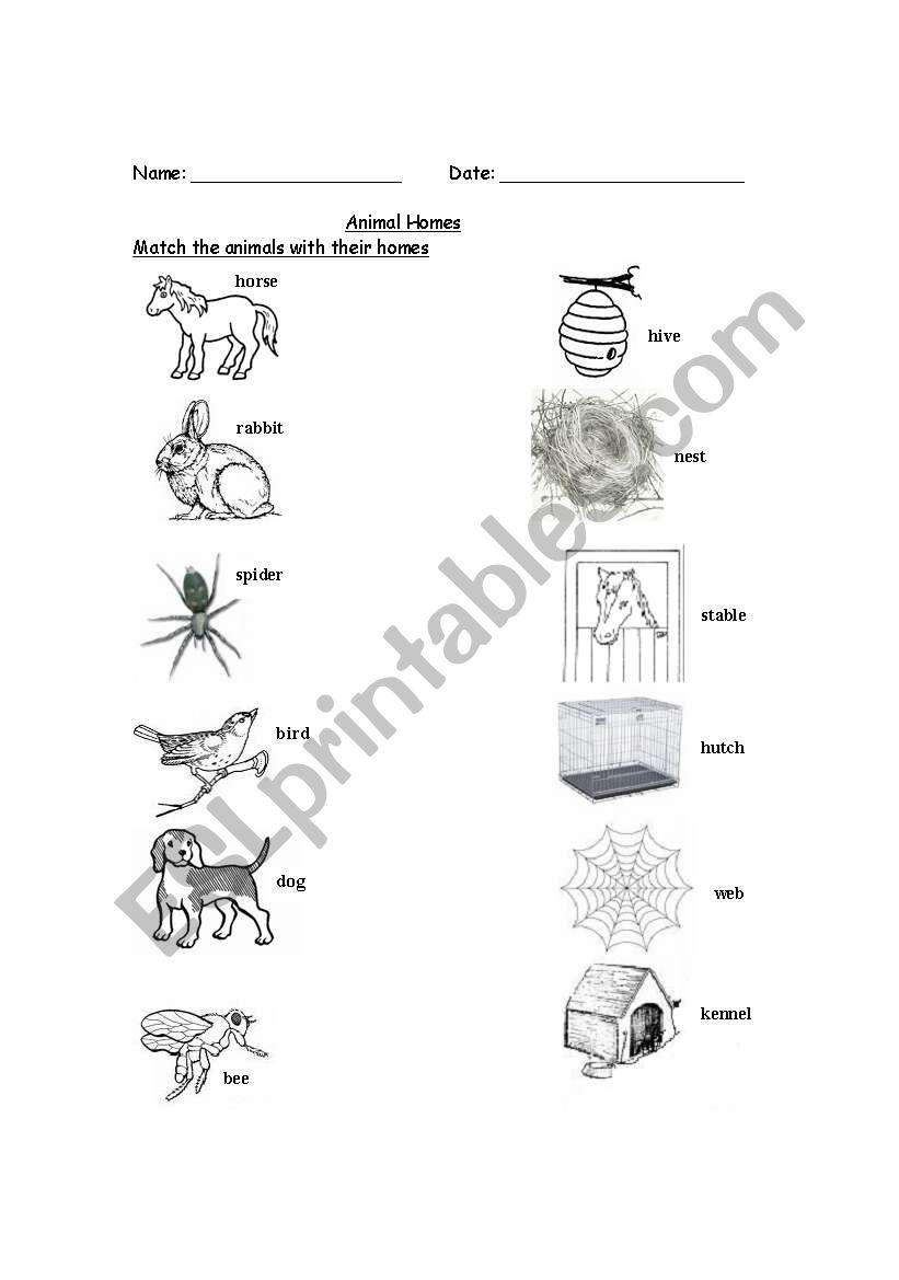 English worksheets: Animal Homes English worksheets: Animal Homes