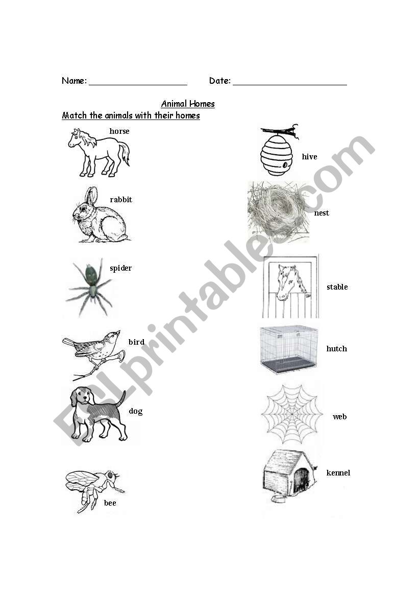 Animal Homes worksheet