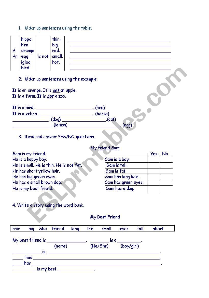 Elementary practice worksheet