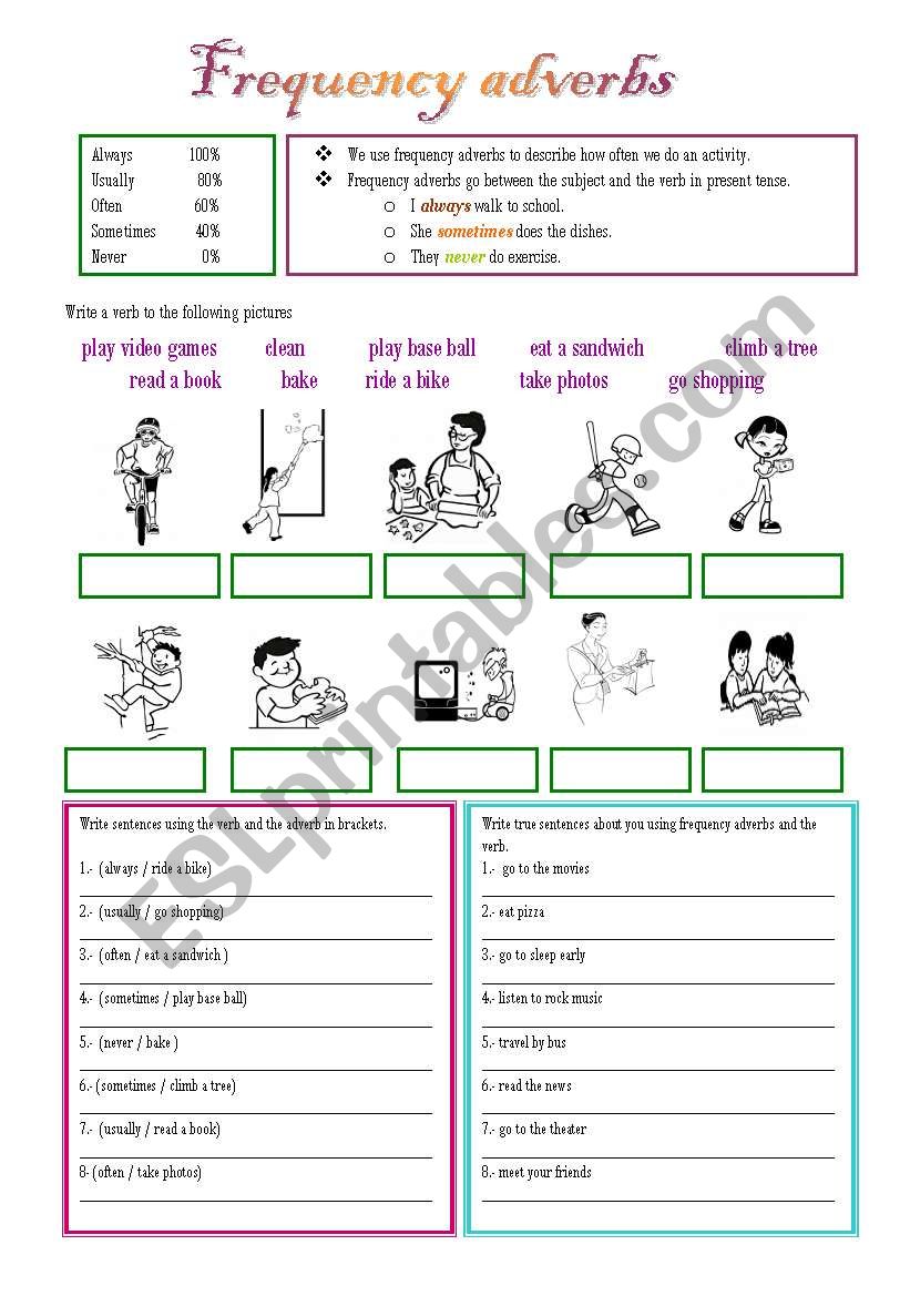 Frequency adverbs worksheet