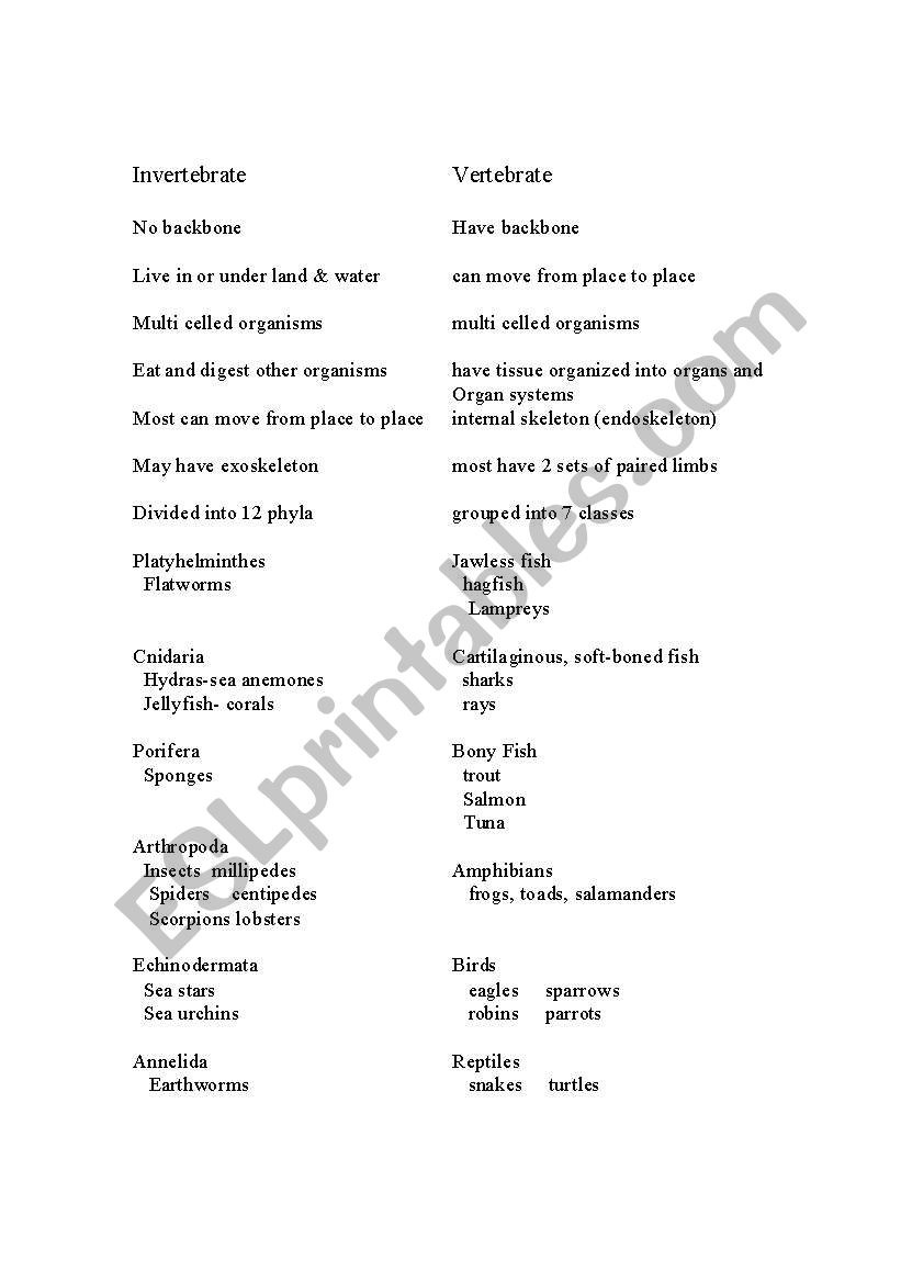 invertebrates worksheet