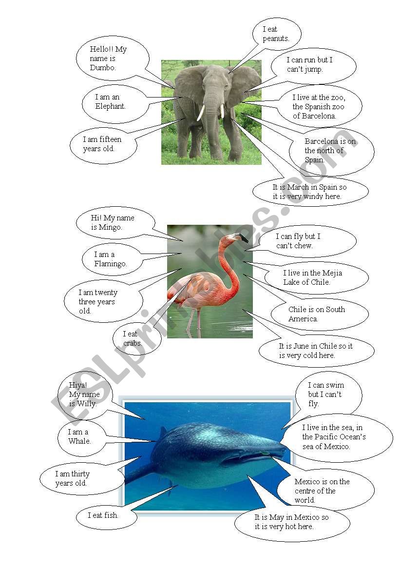 presentation of animals worksheet
