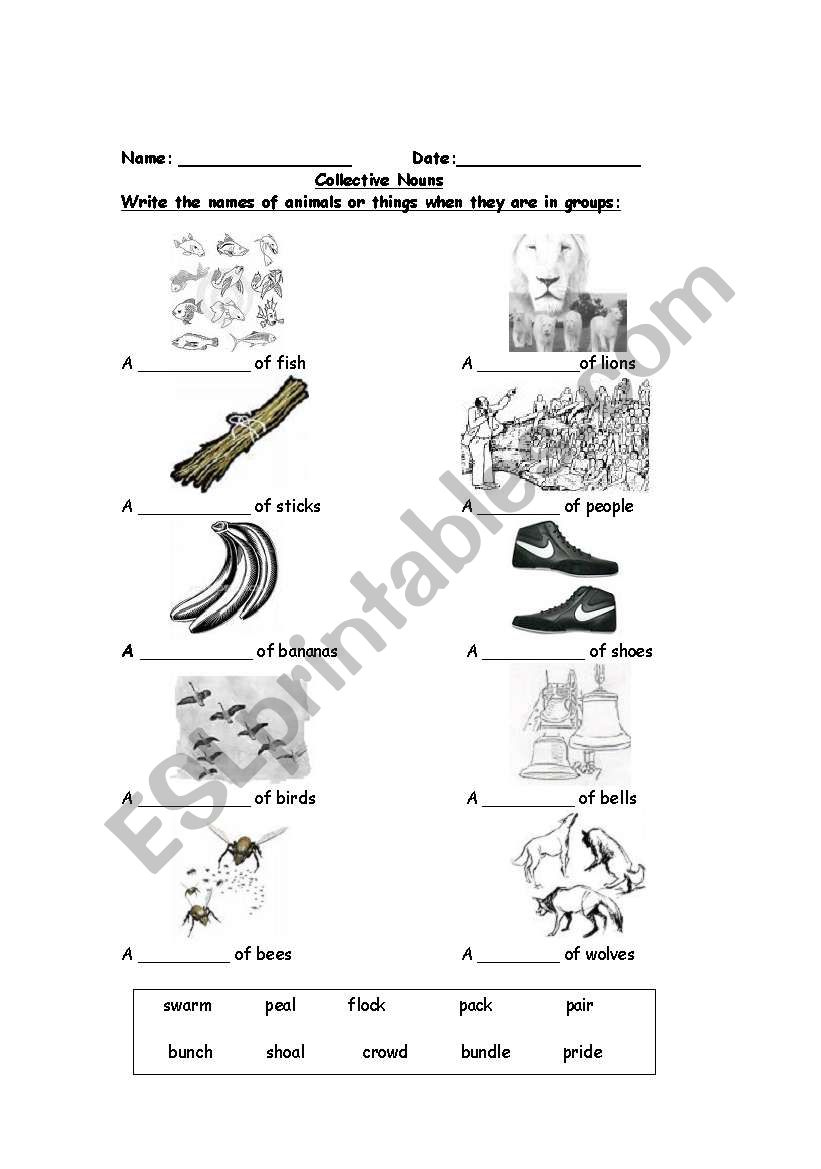 Collective Nouns worksheet