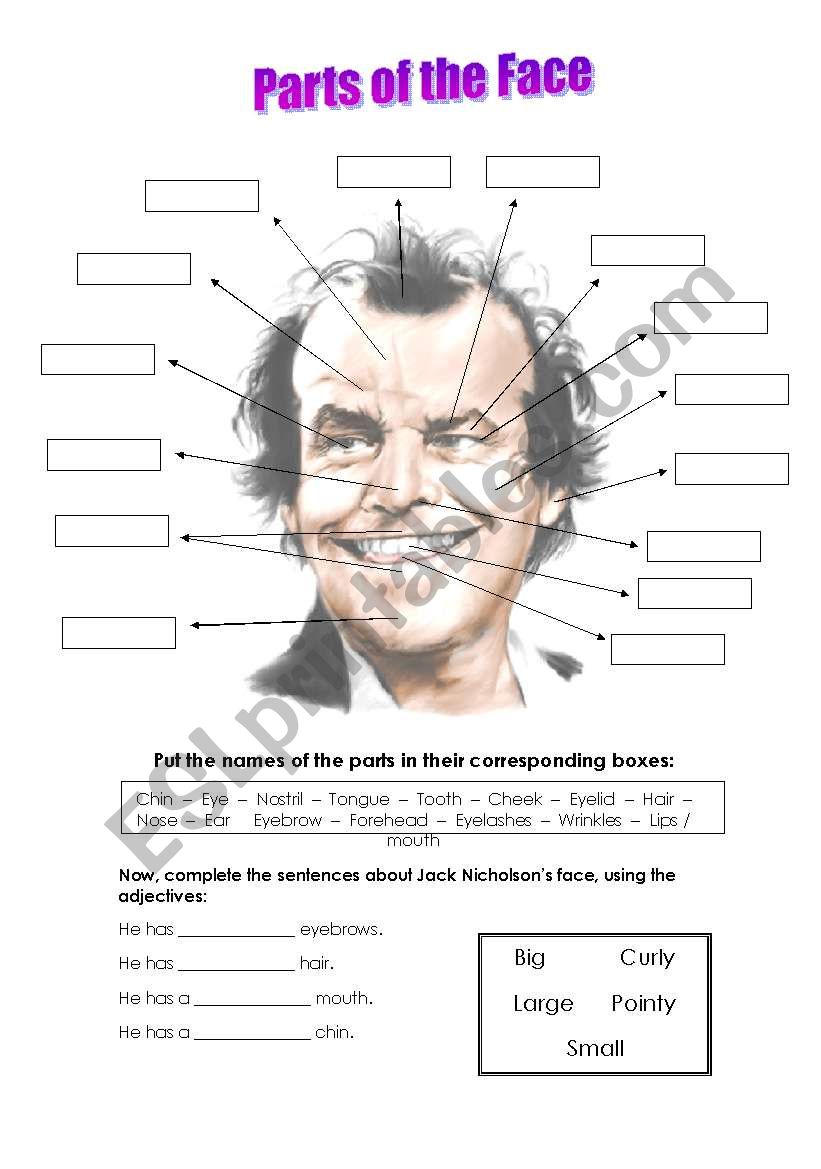 Parts of the face - with Jack Nicholson