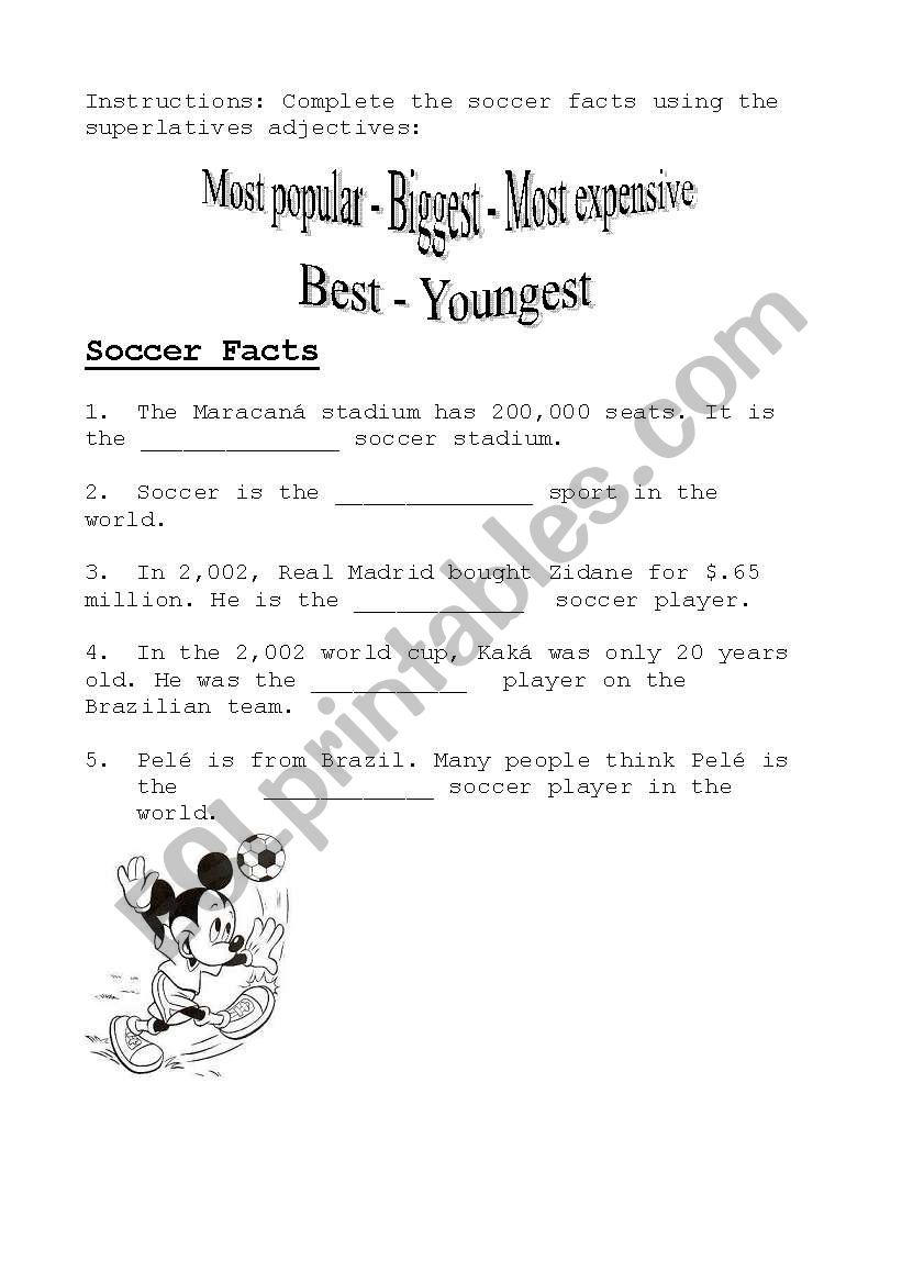 Soccer facts worksheet