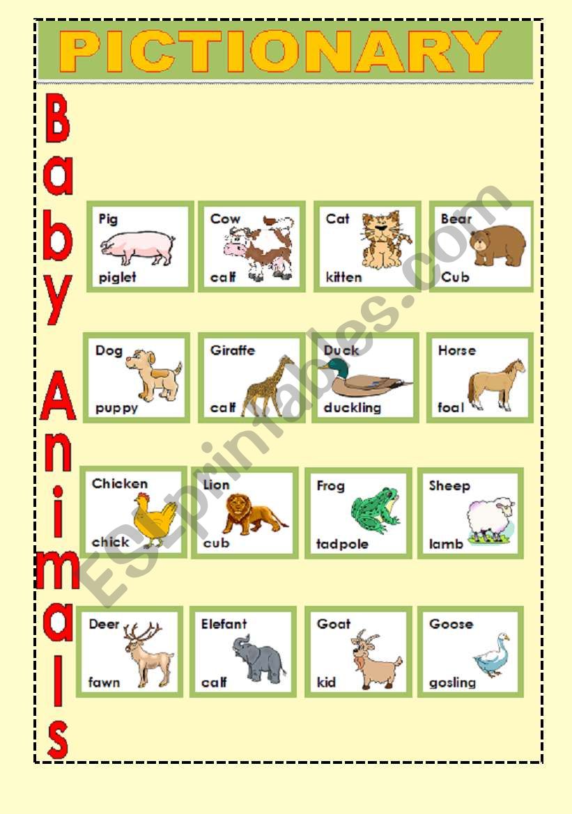 Baby Animals worksheet