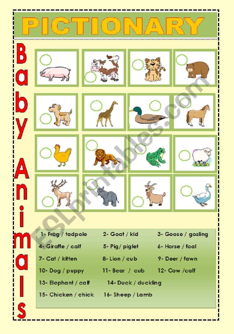 Baby Animals 3 worksheet