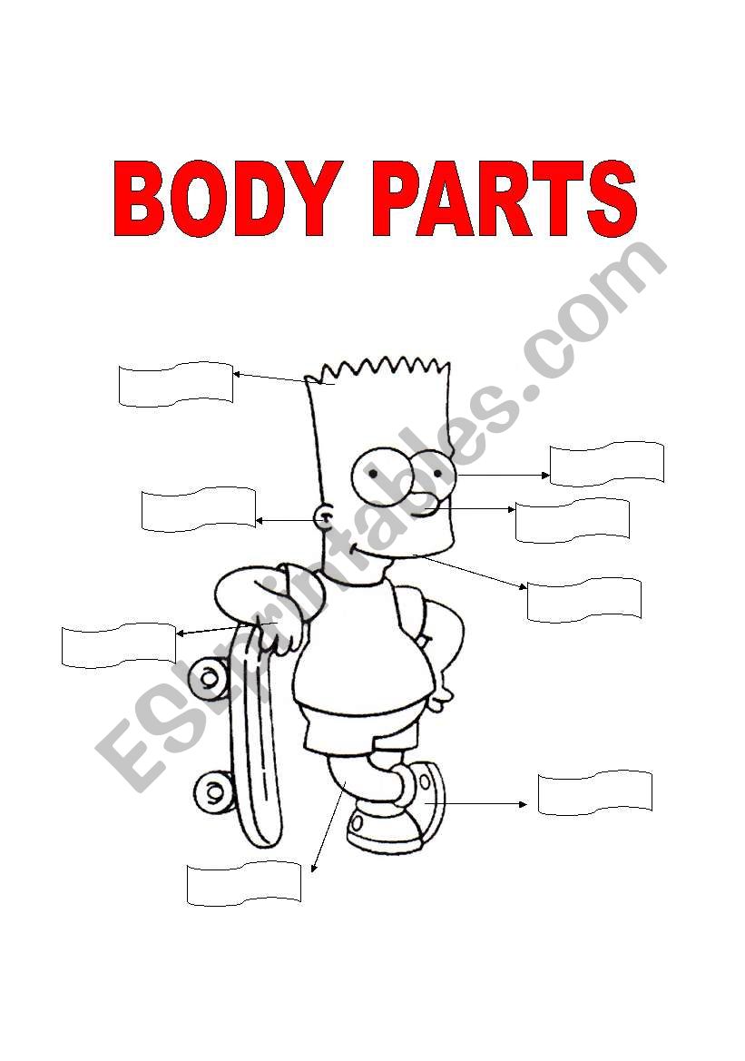 BARTS BODY PARTS worksheet