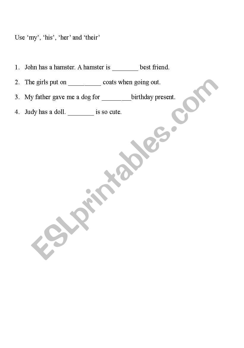 Possessive Adjectives worksheet