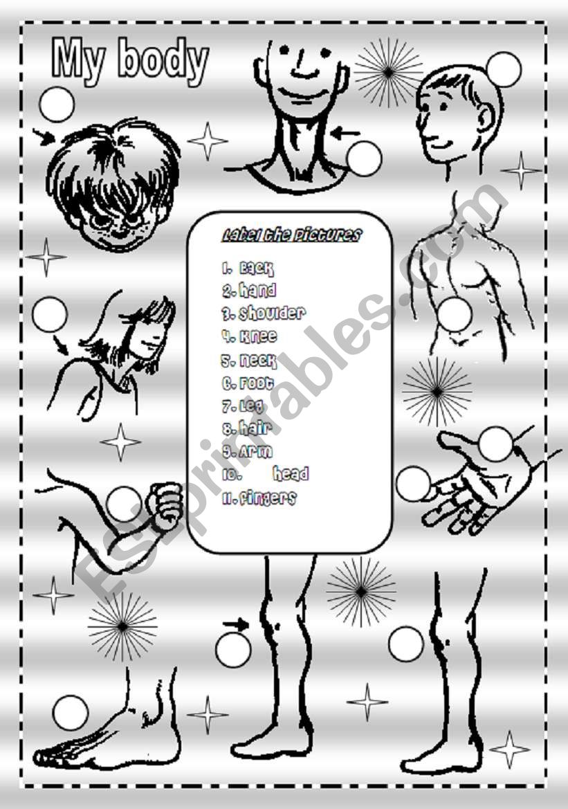 Body parts worksheet