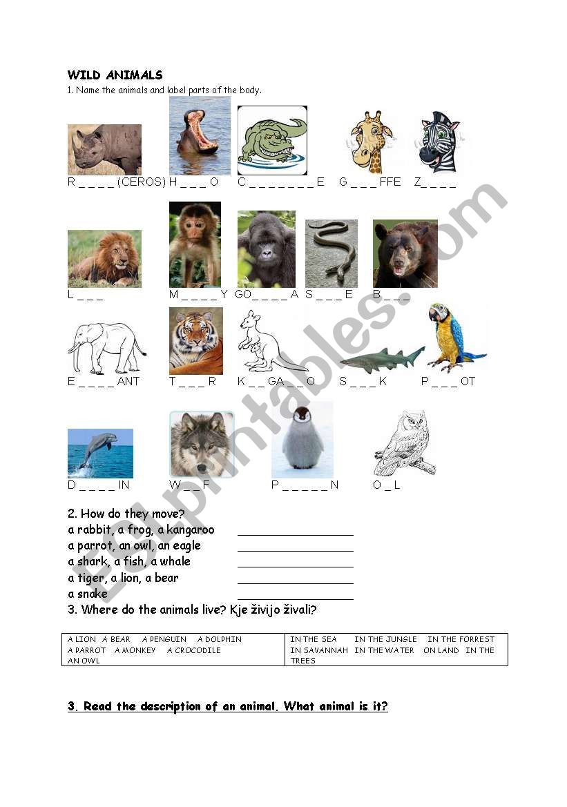 wild animals worksheet