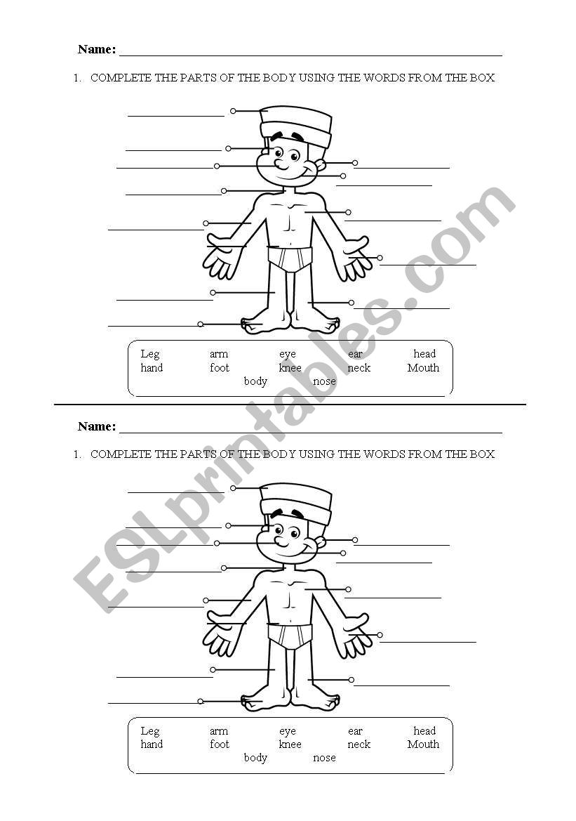 BODY PARTS worksheet