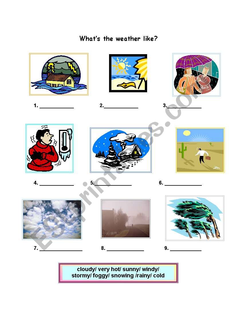 Whats the weather like? worksheet
