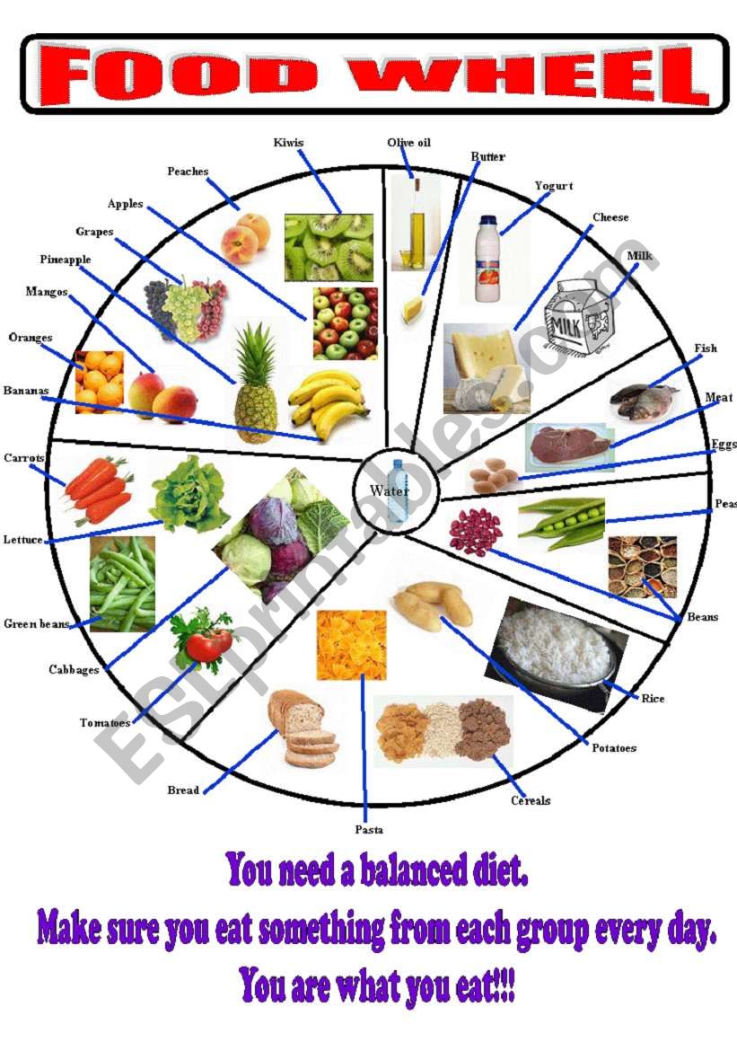 Food_wheel  worksheet