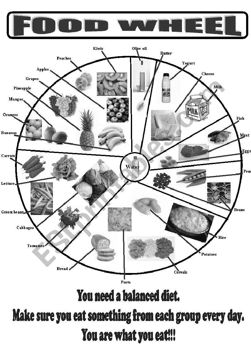 Food wheel ( black and white version)