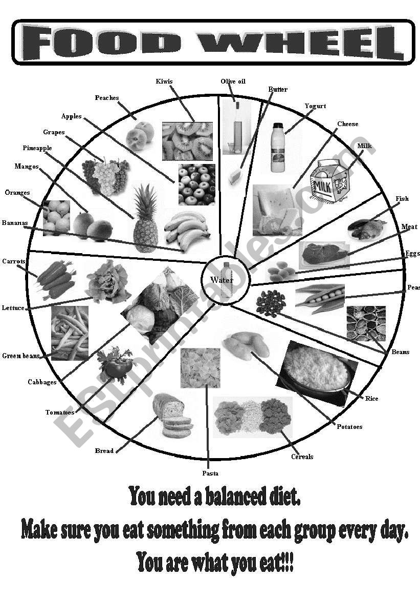 Food wheel ( black and white version)