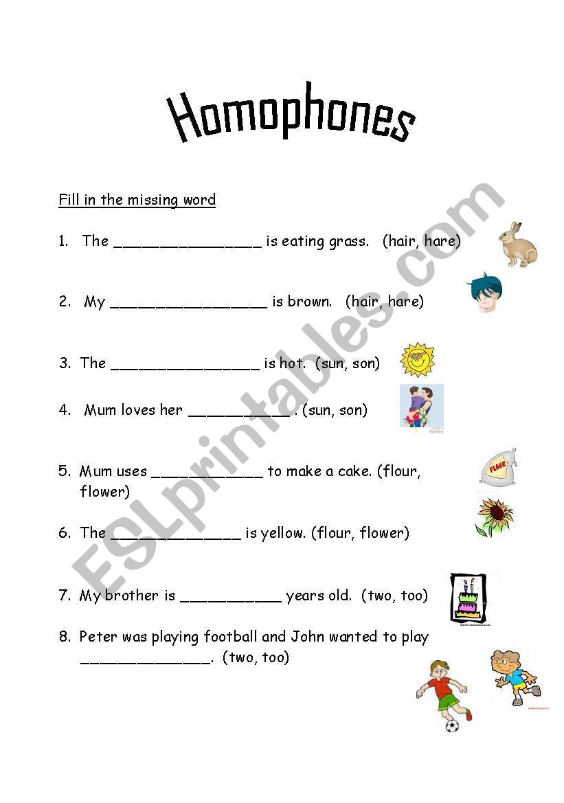 Homophones worksheet