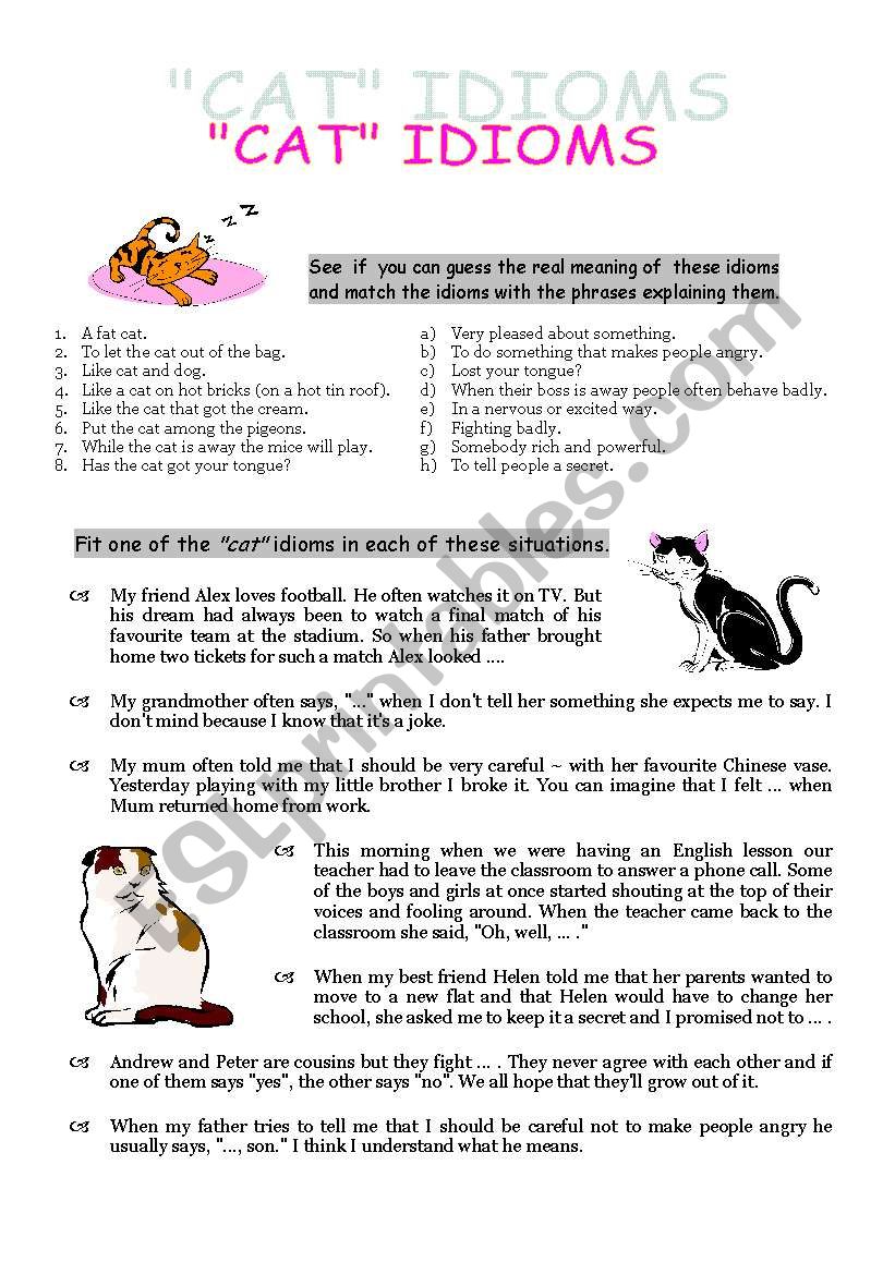 Cat Idioms with meaning and sentence