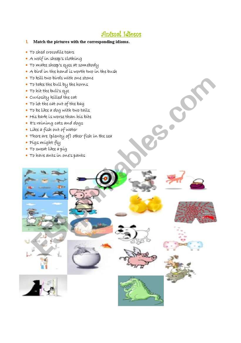 Animal idioms worksheet