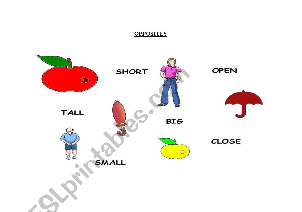 Opposites worksheet