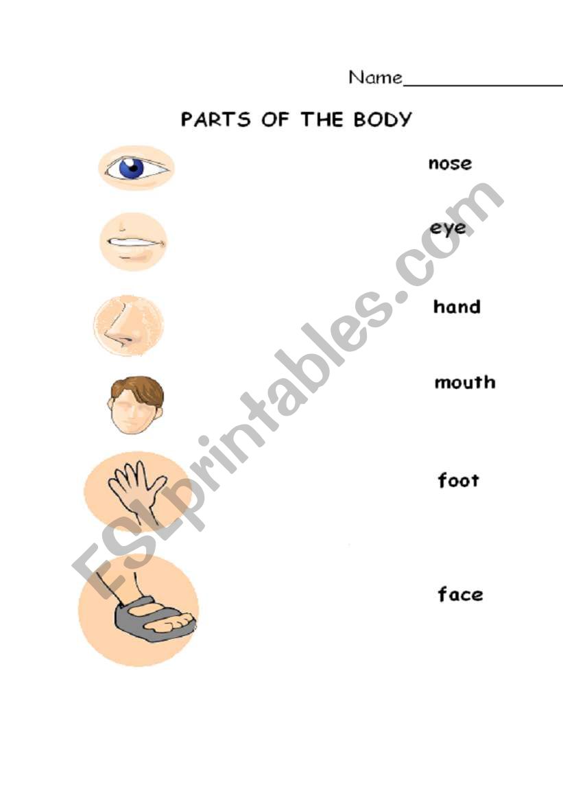 Body worksheet