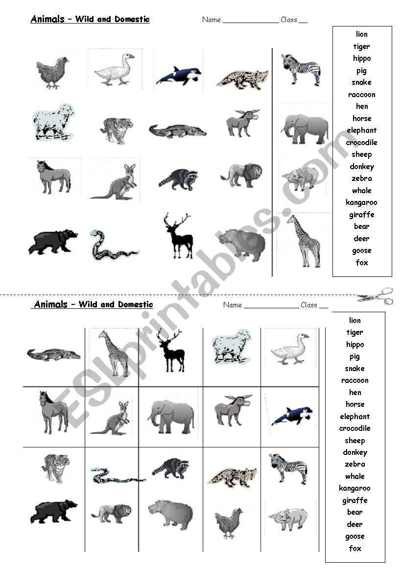 Animals worksheet