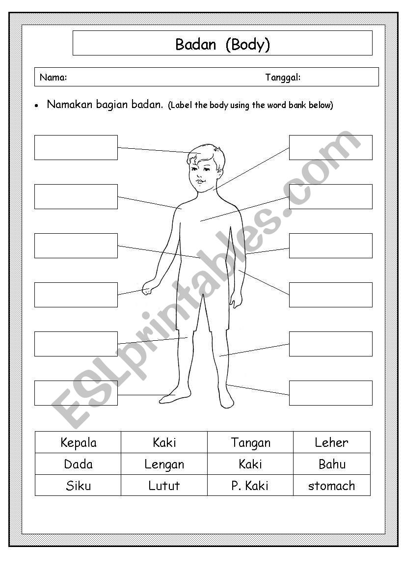 Body Parts  worksheet