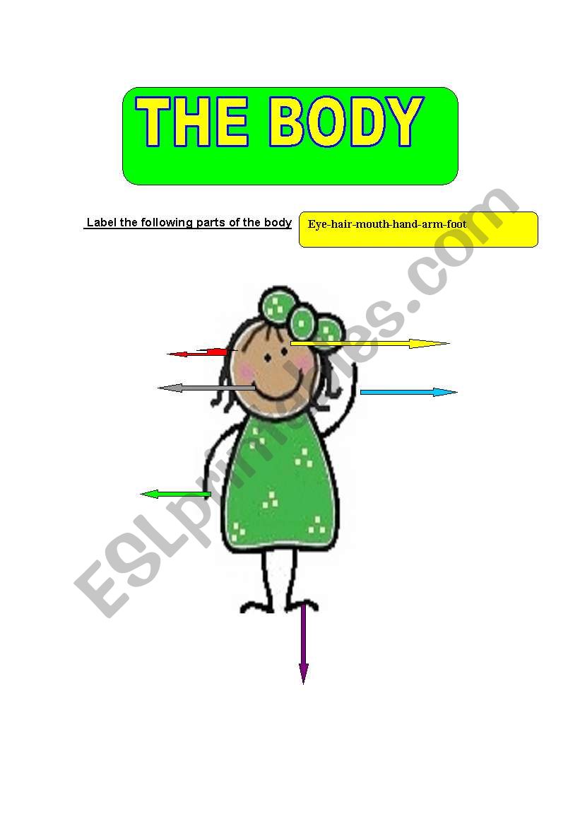 the body worksheet