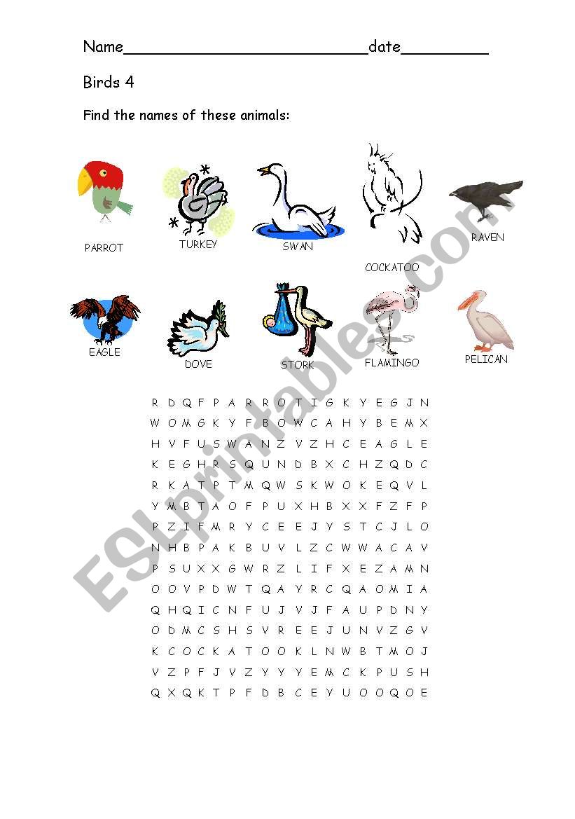 Birds 4 worksheet