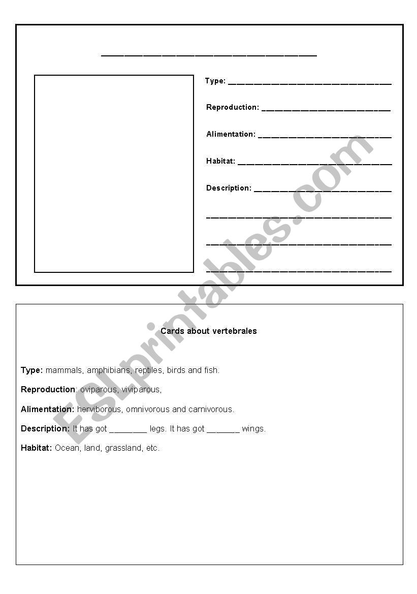 Animal classification worksheet