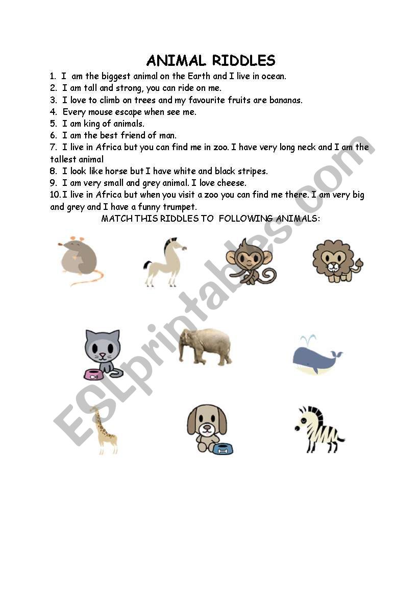 animal riddles worksheet