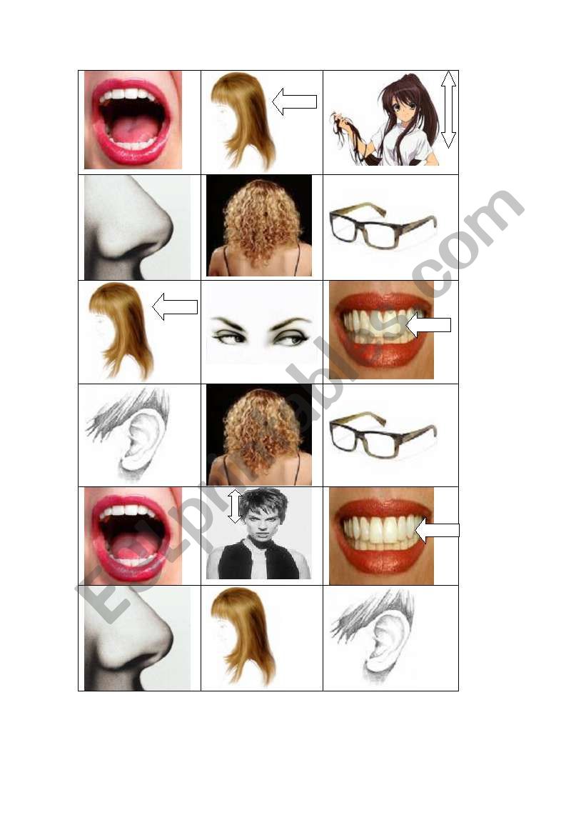 PARTS OF THE FACE BINGO worksheet