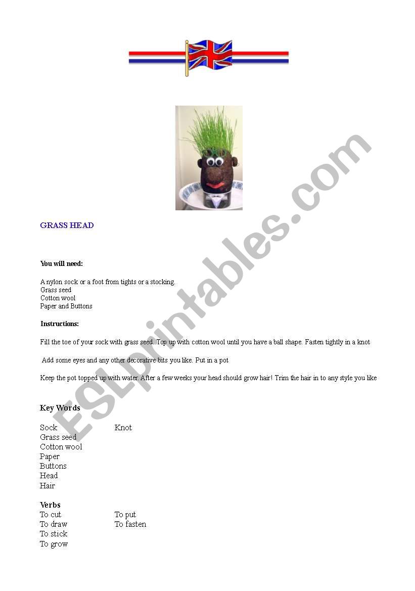 Mr Grass Head worksheet