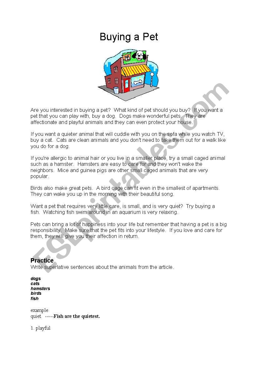 buying a pet worksheet