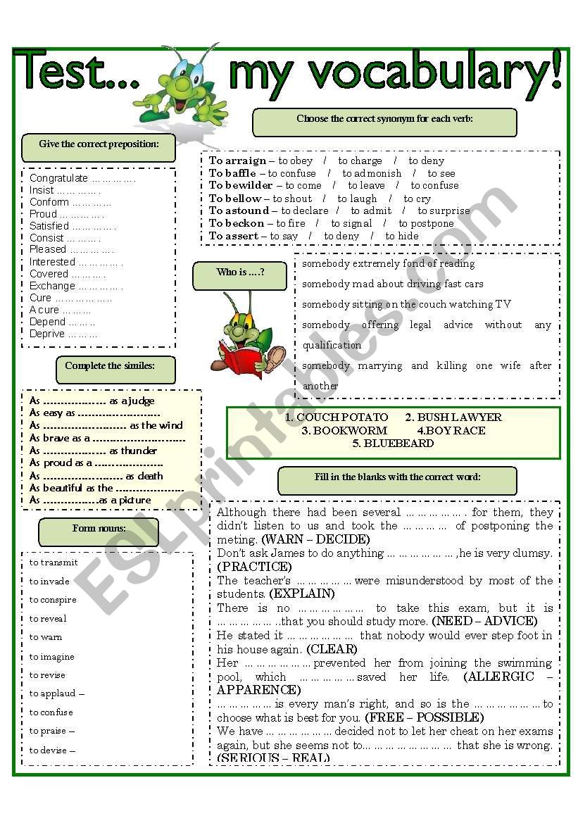 TEST .... MY VOCABULARY! worksheet