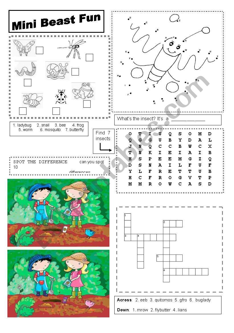 Mini Beast Fun Worksheet worksheet