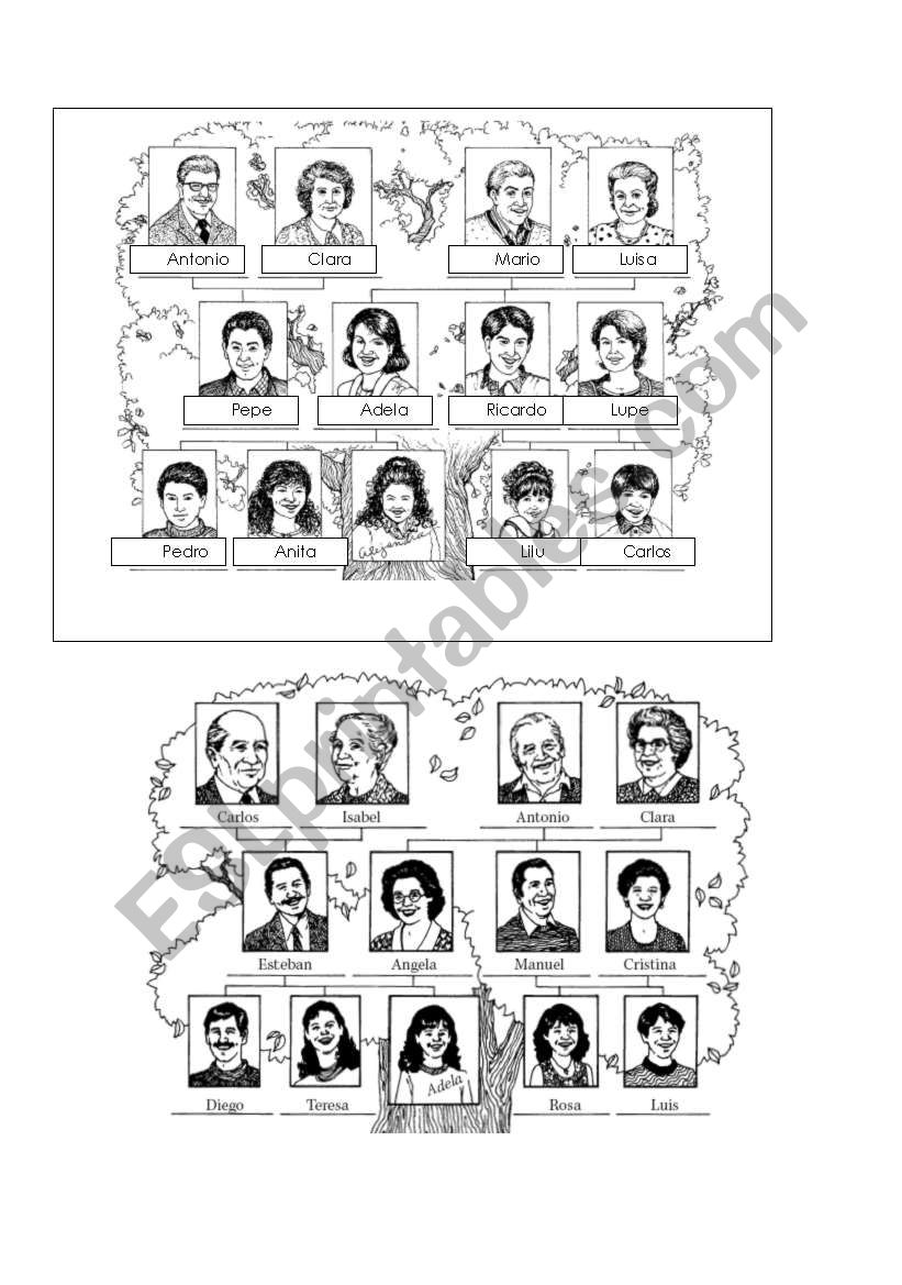 The Family Tree worksheet